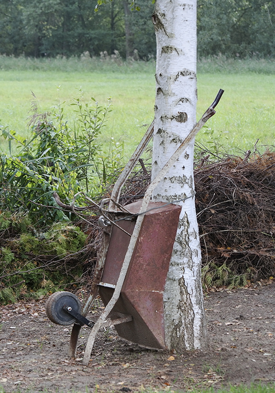 Mecklenburgische Seenplatte SAM_4451 Kopie.jpg - Das ist die ORIGINAL Honnecker Gartenschubkarre vom Eisenwerk aus Dresten ( Lach ). Das muss sie sein , denn wer  schiebt  denn heute noch solch eine Karre durchs Gelände